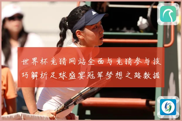 世界杯竞猜网站全面与竞猜参与技巧解析足球盛宴冠军梦想之路数据研判